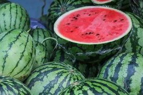 吃瓜第一网,吃瓜第一网带你领略明星幕后故事